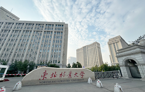 东北林业大学